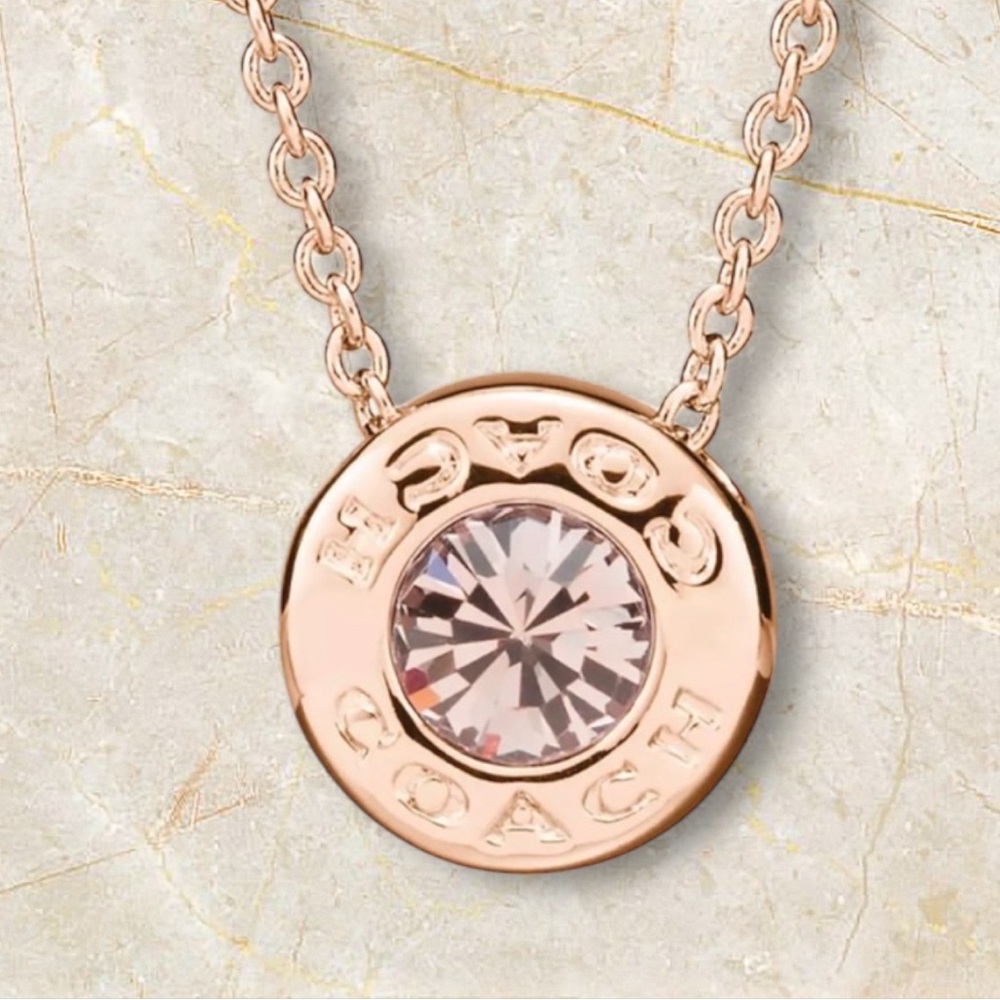 NEW•COACH STATEMENT OPEN CIRCLE ROSE GOLD NECKLACE•NWT - Picture 2 of 10
